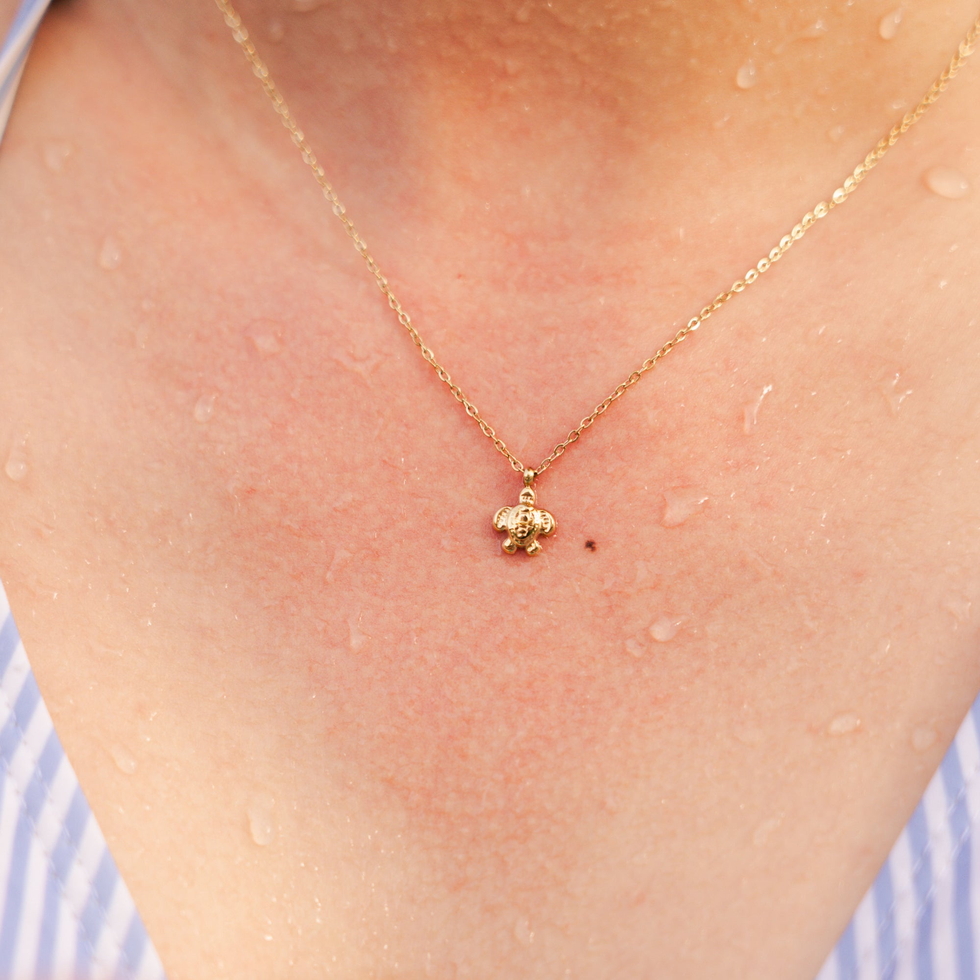 Cute tortoise - KETTING
