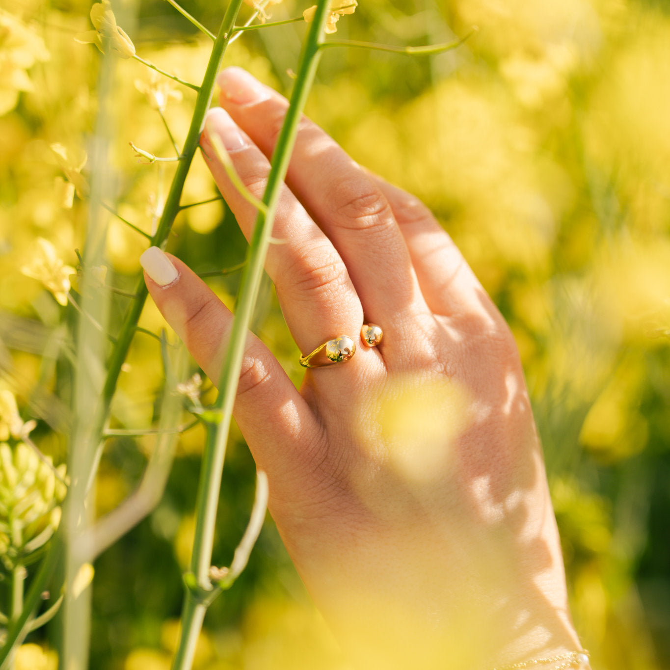 Open teardrop - RING