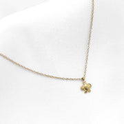 Cute tortoise - KETTING